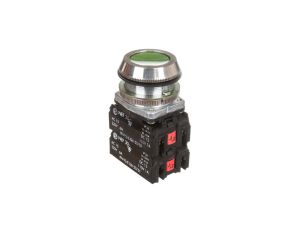 Przycisk sterowniczy 30mm zielony 2Z 2R z samopowrotem W0-NEF30-K 2X2Y Z
