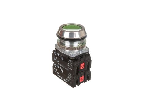 Przycisk sterowniczy 30mm zielony 2Z 2R z samopowrotem W0-NEF30-K 2X2Y Z