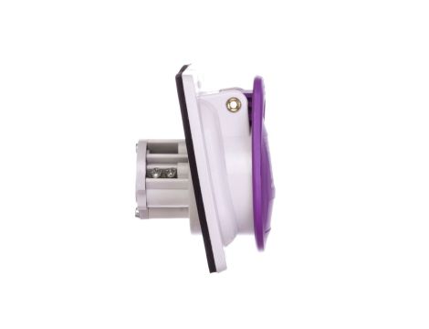 P17 Gniazdo tablicowe 32A/24V/2P IP44 fioletowe 055295