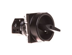 Łącznik krzywkowy 0-1 2P 10A do wbudowania TM-1-8291/E/SVB-SW 215352