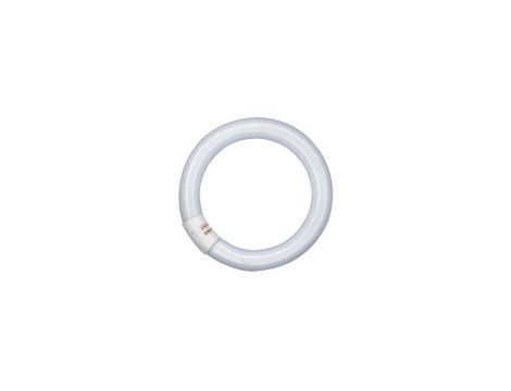 Świetlówka kołowa G10q 40W 840 4000K L40W/840C 4050300014845