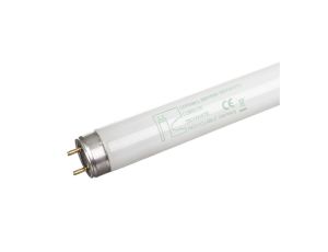 Świetlówka G13 36W 880 8000K L36W/880 SKY 4008321002976