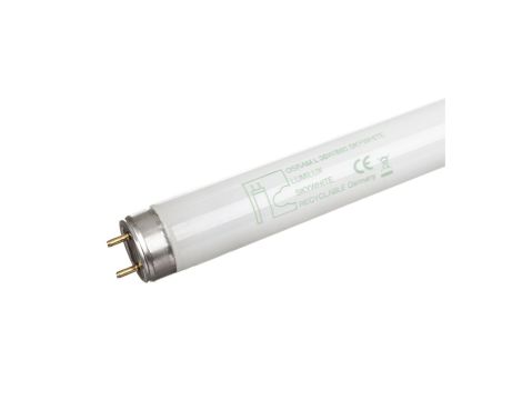 Świetlówka G13 36W 880 8000K L36W/880 SKY 4008321002976