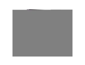 Tabliczka /znak ostrzegawczy/ TZO 210X297S N.D.U.E. E04TZ-01011150100 /10szt./