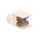 Zacisk rozgałęźny 1-biegunowy 80A 1x25/4x16mm2 K03SN
