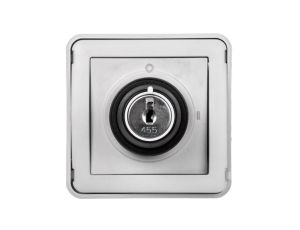 PLEXO55 Łącznik z kluczykiem 2 pozycje szary 069534