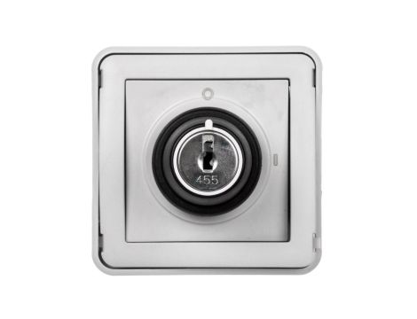 PLEXO55 Łącznik z kluczykiem 2 pozycje szary 069534