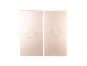 Simon 54 Klawisz do przycisku żaluzjowego SZP1WM złoty mat DKZP1W/44