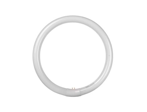 Świetlówka kołowa LUMILUX T9 C 32W/865 G10q 84V 4008321581167