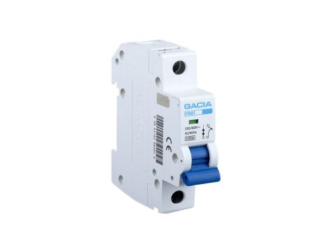 Ogranicznik mocy 25A 1P 10kA