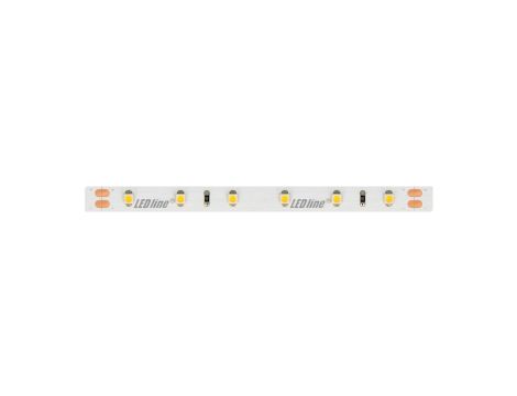 Taśma LED line 300 SMD3528 24V 2400K 4,8W 5 lat gwar. 240607/5m/