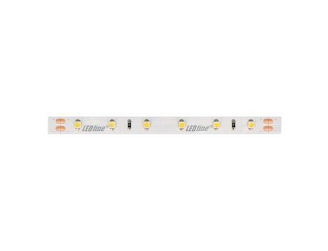 Taśma LED line 300 SMD3528 24V 4000K 4,8W 5 lat gwar. 241765/30m/