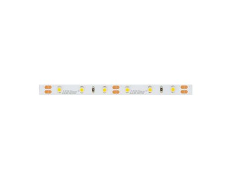 Taśma LED line 300 SMD3528 12V 3000K 4,8W 5 lat gwar. 249419/30m/