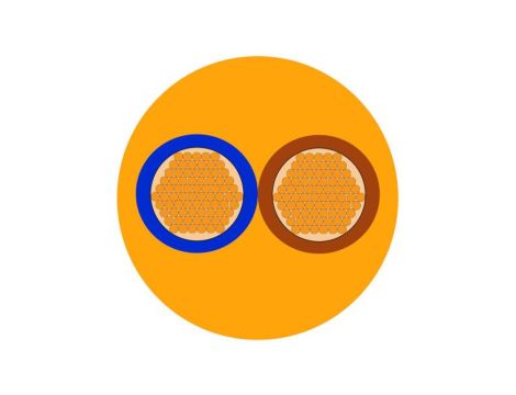 Sieciowy kabel zasilający 2 Core Polichlorek winylu PVC Sheath Pomarańczowy 7.5mm od , 500 V