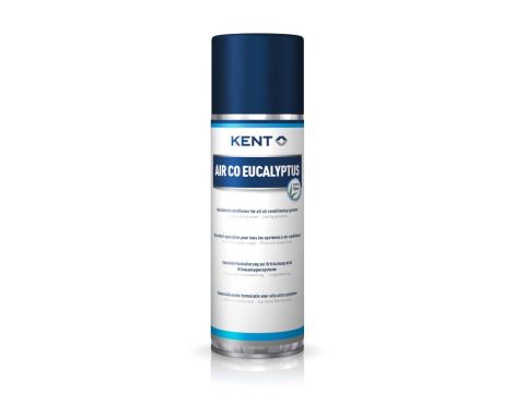 PIANKA DO CZYSZCZENIA KLIMATYZACJI EUCALIPTUS300ml