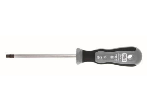 WKRĘTAK TORX Z OTWOREM TX10X80 /WGB/