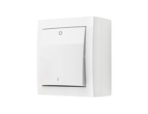 Aquaclick Łącznik dwubiegunowy bryzgoszczelny IP44 biały 10AX