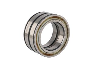 INA - Łożysko SL045019-D-PP 95 x 145 x 67