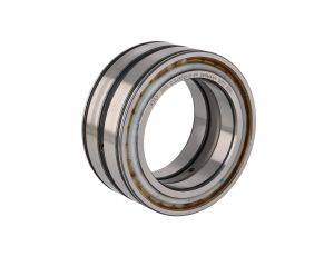 INA - Łożysko SL045020-D-PP 100 x 150 x 67