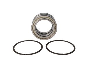 INA - Łożysko SL045024-D-PP-2NR 120 x 180 x 80