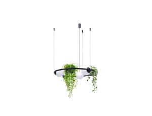 Lampa wisząca PLANT kolor czarny metal/szkło, 3xE27 IP20 5005 Zuma Line