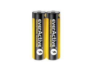 Zestaw baterii AA everActive EVLR6S2IK (x 40)