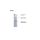 Plafon Geometric System 1 LED LP-0109/1C 4K Light Prestige