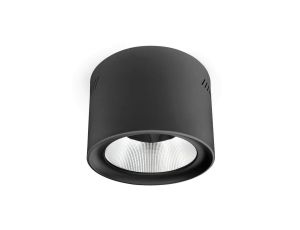 Downlight Natynkowy LED Phoenice 35W Czarny 3000-5700K IP64 Philips Driver