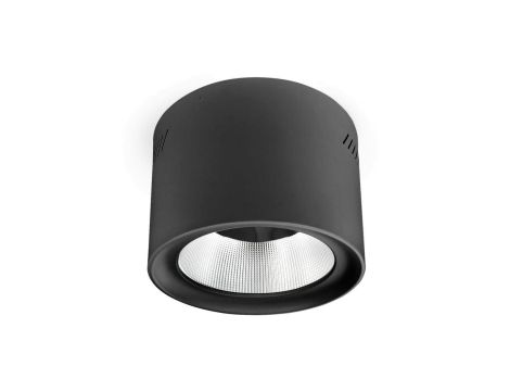 Downlight Natynkowy LED Phoenice 35W Czarny 3000-5700K IP64 Philips Driver