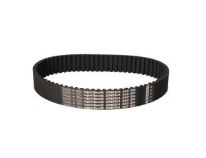 Optibelt - Pas zębaty 8M 560 560 x 30 x 5.4
