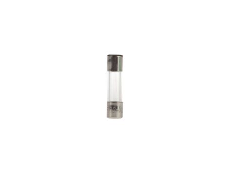 Wkładka aparatowa 5x20mm 100mA F /szybka/ 250V 006710009 /10szt./