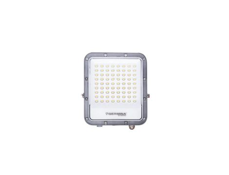 Projektor LED 50W 5000lm 5000K IP65 Premium Ares GW-0085