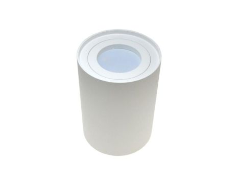 Oprawa sufitowa Criko White stała okrągła aluminiu