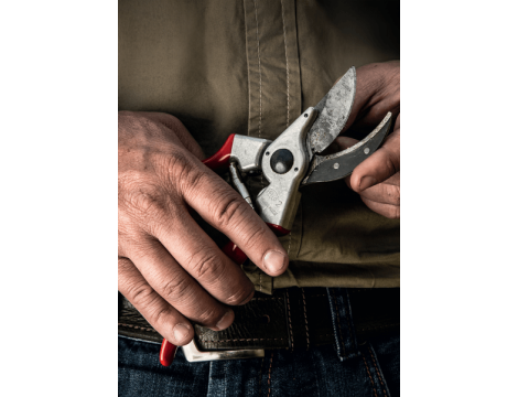 SEKATOR JEDNORĘCZNY FELCO   2 215mm - 2