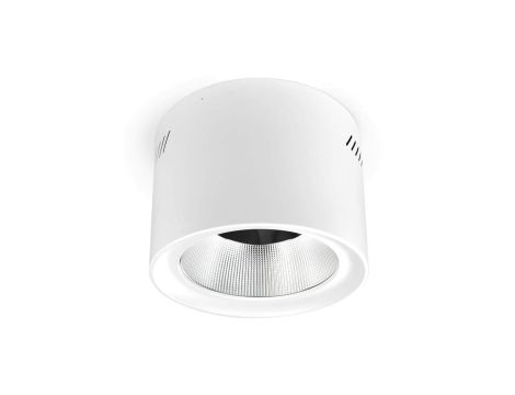 Downlight Natynkowy LED Phoenice 35W 3000-5700K IP64 Philips Driver