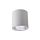 Oprawa sufitowa tuba metalowa spot JUPITER 13 typu DOWNLIGHT E27 szara