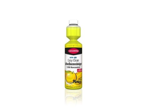 KONCENTRAT LETNIEGO PŁYNU 1:100 250ml Cytrusowy