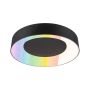 Plafoniera CASCA SH Zigbee RGBW DIM LED 20W 1750lm okrągła 400mm 2200 - 6500 K IP44 230V Czarny mat / tworzywo sztuczne - 3