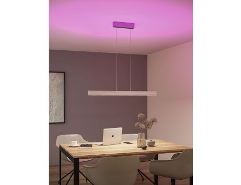Lampa wisząca RAIKO LED RGBW DIM 1x19W 1x6W 2300+370lm 230V  /metal szczotkowane aluminium/ tworzywo - 10