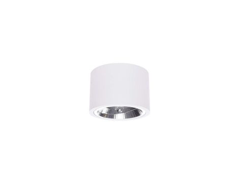 Oprawa natynkowa Camino biała 1xES111 Light Prestige