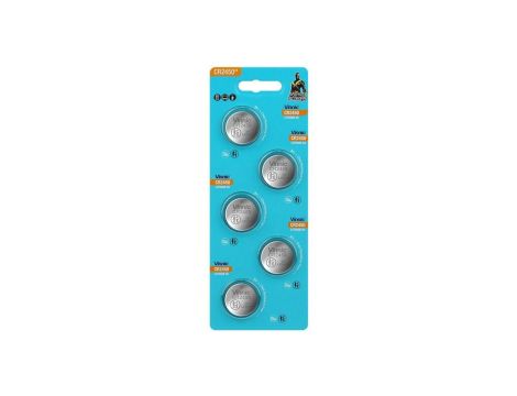 bateria litowa Vinnic CR2450 - 5 sztuk