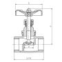 Zawór grzybkowy gwintowany Flowmatik G 1 1/4 GW PN16, stal nierdzewna 316 - 5