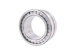 Łożysko walcowe dwurzędowe bez pierścienia zewnętrznego F 217411.1.RNN INA, 65 x 93 x 55 - image 2