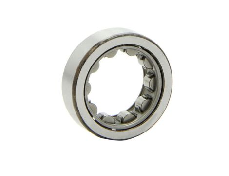 Łożysko walcowe bez pierścienia wewnętrznego F 554763.NK INA, 38 x 52 x 17.3