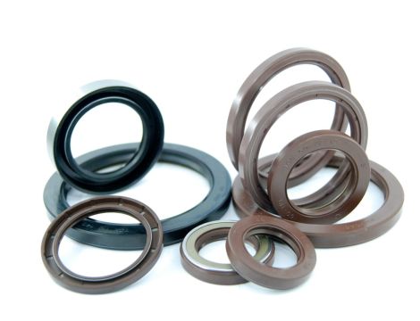 Uszczelnienie jednowargowe G55X63X5 B INA