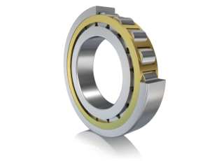 FAG - Łożysko walcowe jednorzędowe 50 x 110 x 40