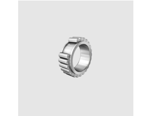 INA - Łożysko walcowe jednorzędowe bez pierścienia zewnętrznego 55 x 83,54 x 26