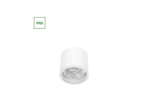 Oprawa downlight CHLOE AR111 GU10 250V IP65 120x115mm biały