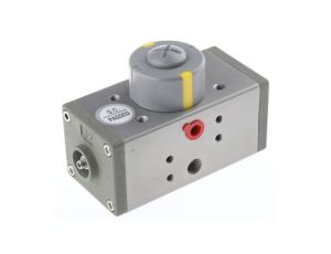Siłownik zaworu, 5 porty, Pneumatyczne, Dwustronne działanie, 11.5Nm, 3 → 8bar