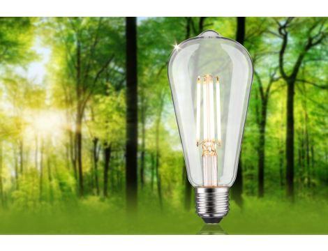 Źródło światła LED ECO LINE ST64 4,3W 806lm E27 3StepDim 3000K klasa B 230V przezroczysty / szkło - 3